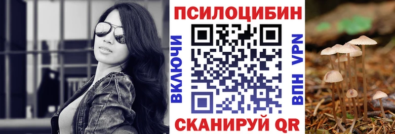 Галлюциногенные грибы Cubensis  купить наркоту  Таштагол 